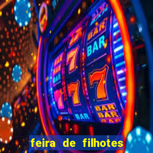 feira de filhotes porto alegre